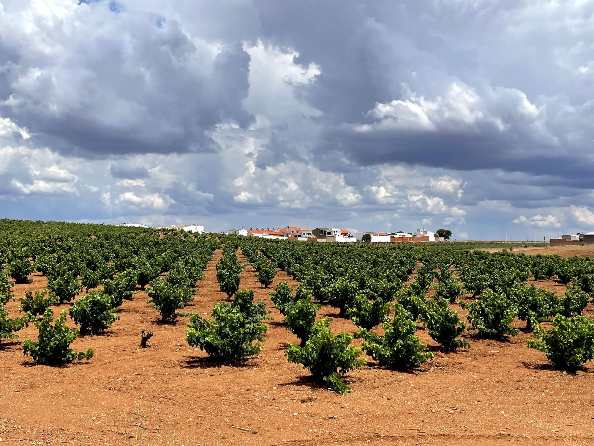 Lots and lands. REALTORS BUSINESS SHERRY, S.L. en Jerez